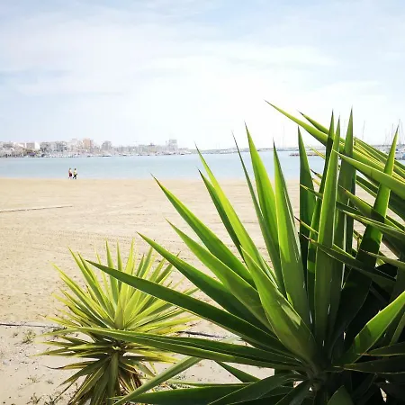 Fiesta * Torrevieja